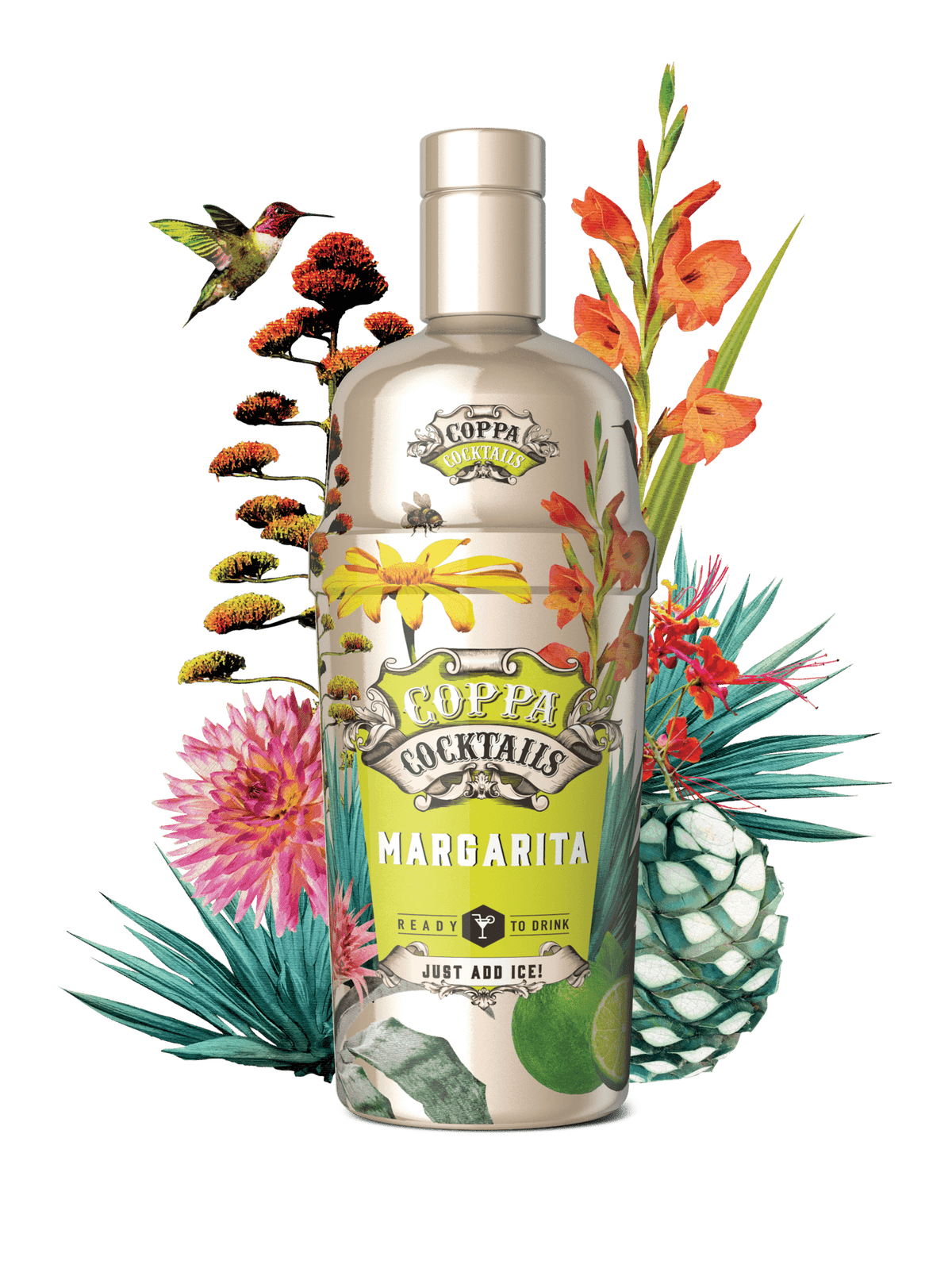 Coppa Cocktails, Margarita Coppa Cocktails, Margarita