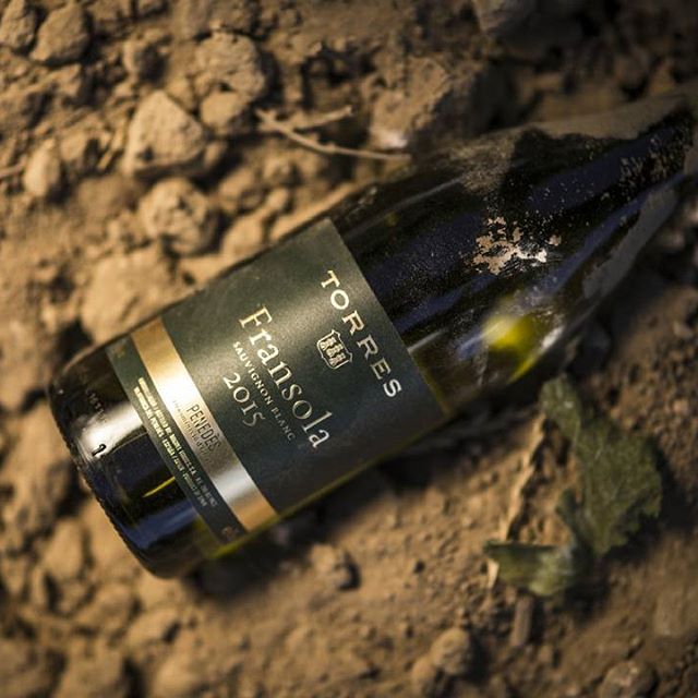 Torres, Fransola Sauvignon Blanc Torres, Fransola Sauvignon Blanc