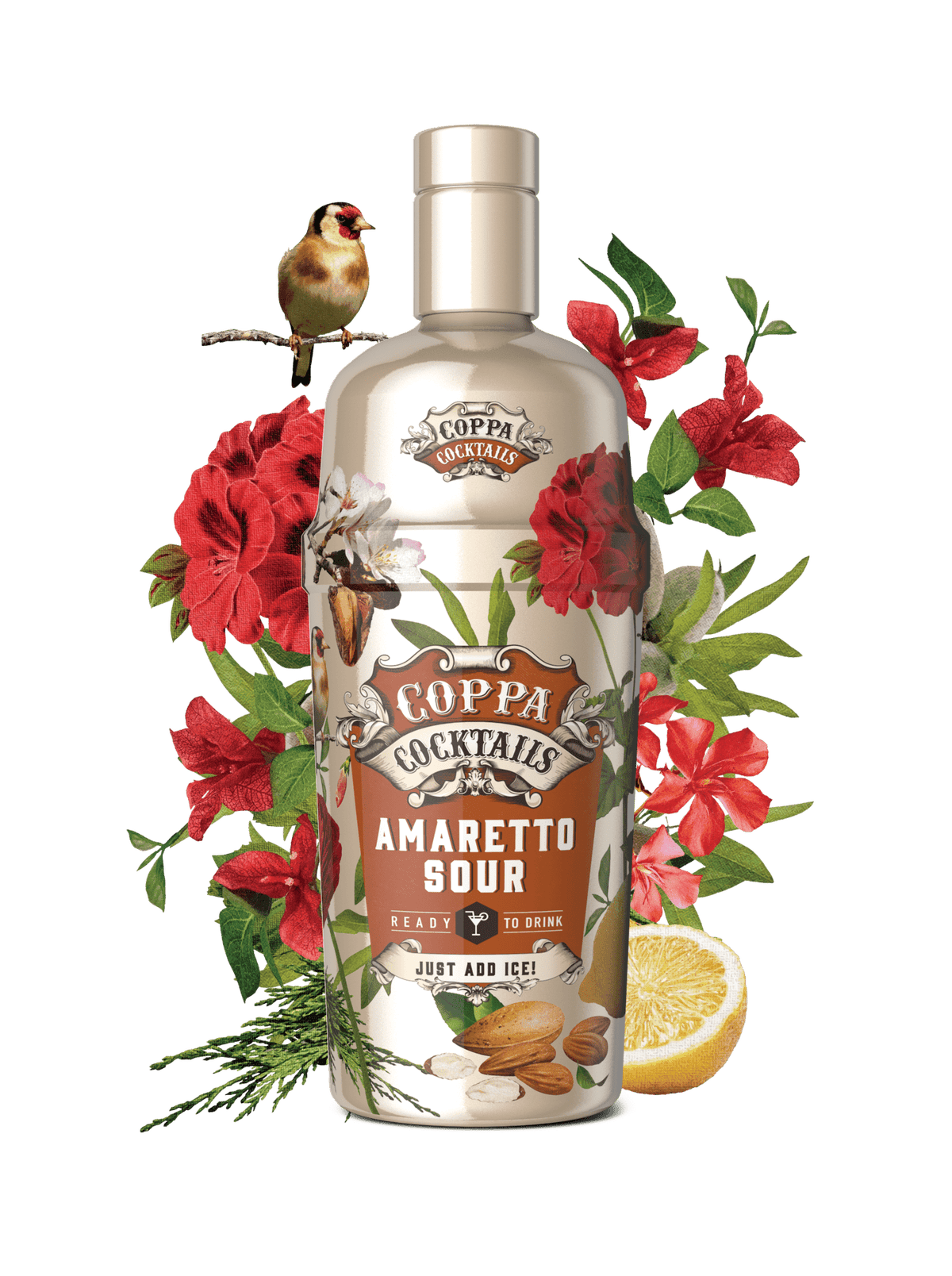 Coppa Cocktails, Amaretto Sour Coppa Cocktails, Amaretto Sour