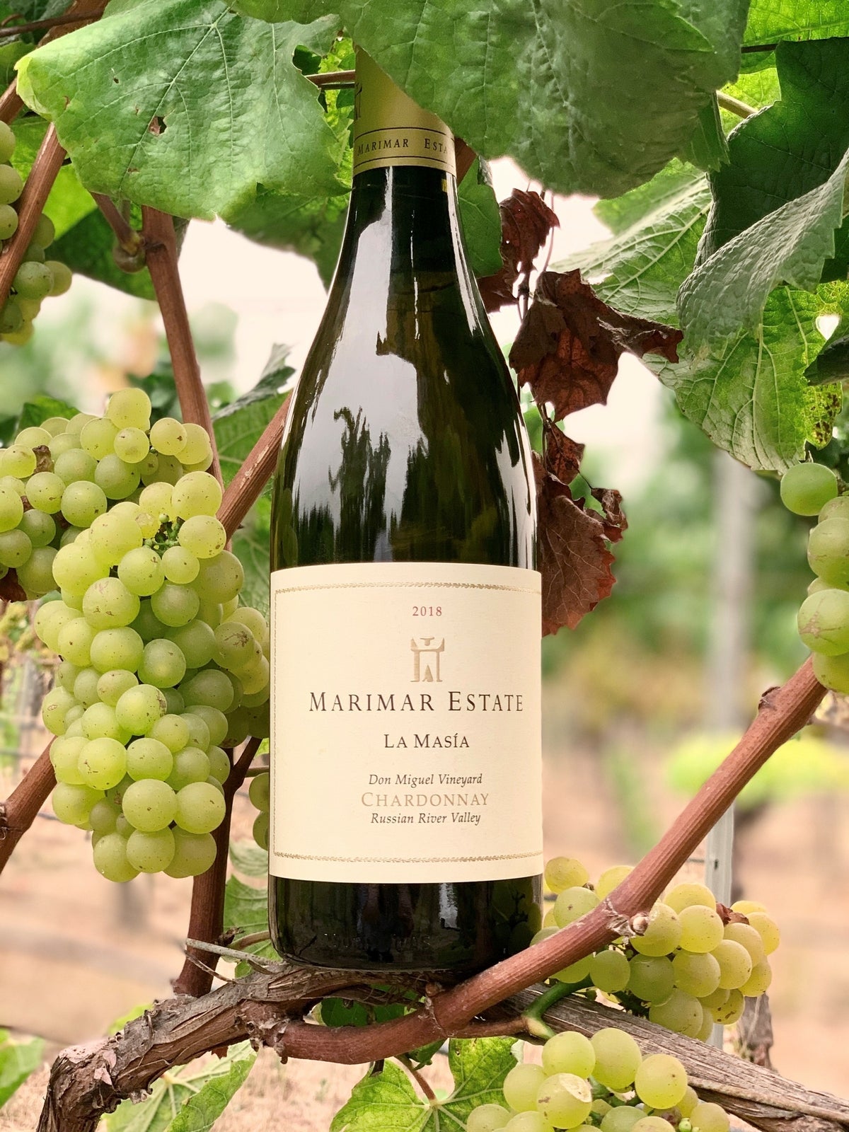 Marimar Estate, La Masía Chardonnay Don Miguel Vineyard Marimar Estate, La Masía Chardonnay Don Miguel Vineyard