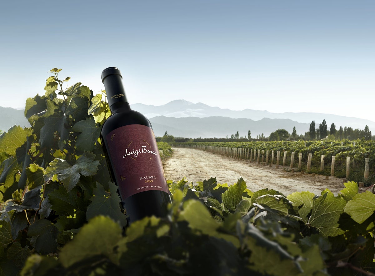 Luigi Bosca, Insignia Malbec Luigi Bosca, Insignia Malbec