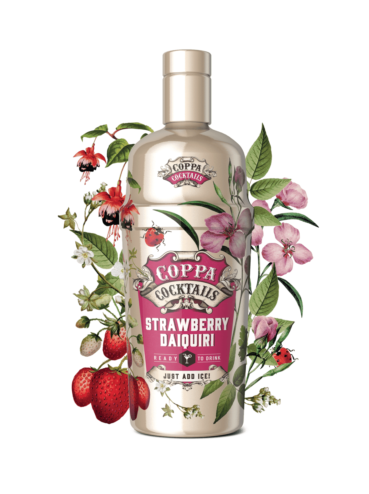 Coppa Cocktails, Strawberry Daiquiri Coppa Cocktails, Strawberry Daiquiri