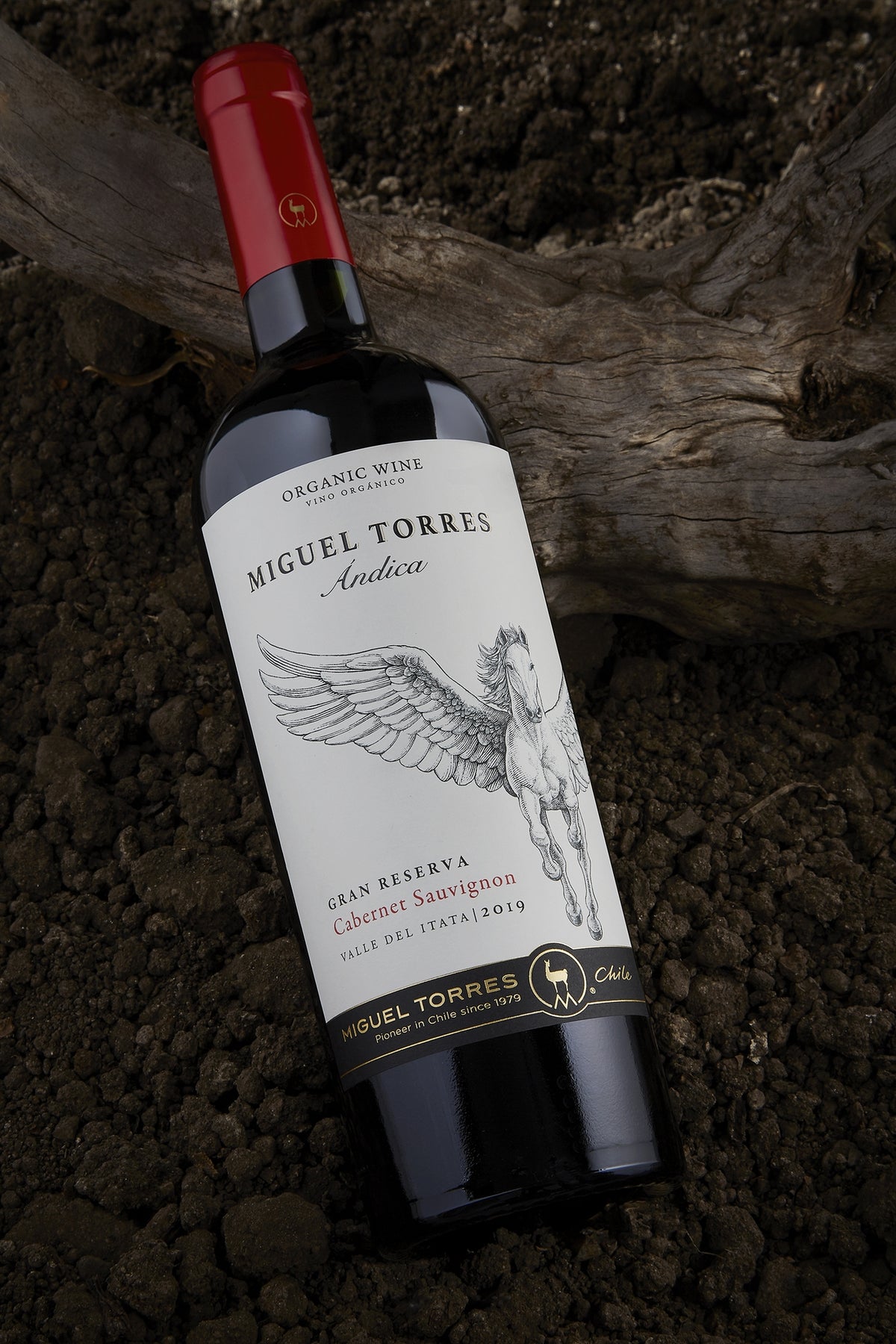 Miguel Torres, Andica Cabernet Sauvignon Gran Reserva Bio Miguel Torres, Andica Cabernet Sauvignon Gran Reserva Bio