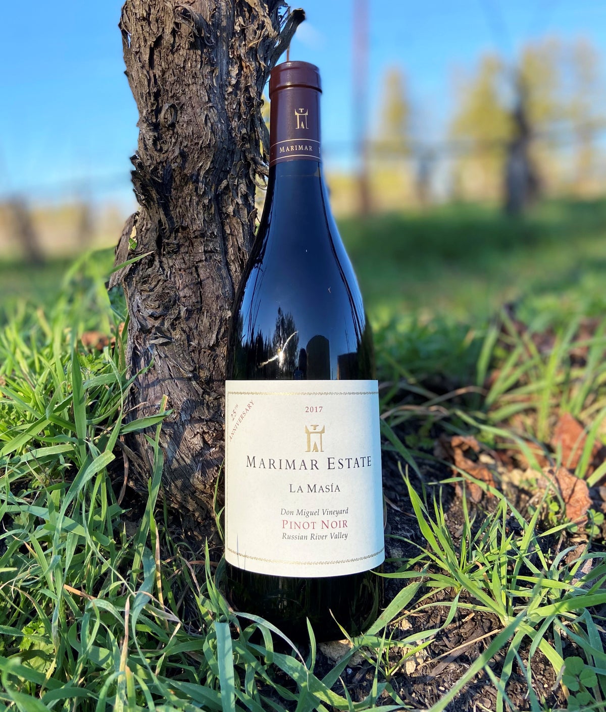 Marimar Estate, La Masía Pinot Noir Marimar Estate, La Masía Pinot Noir