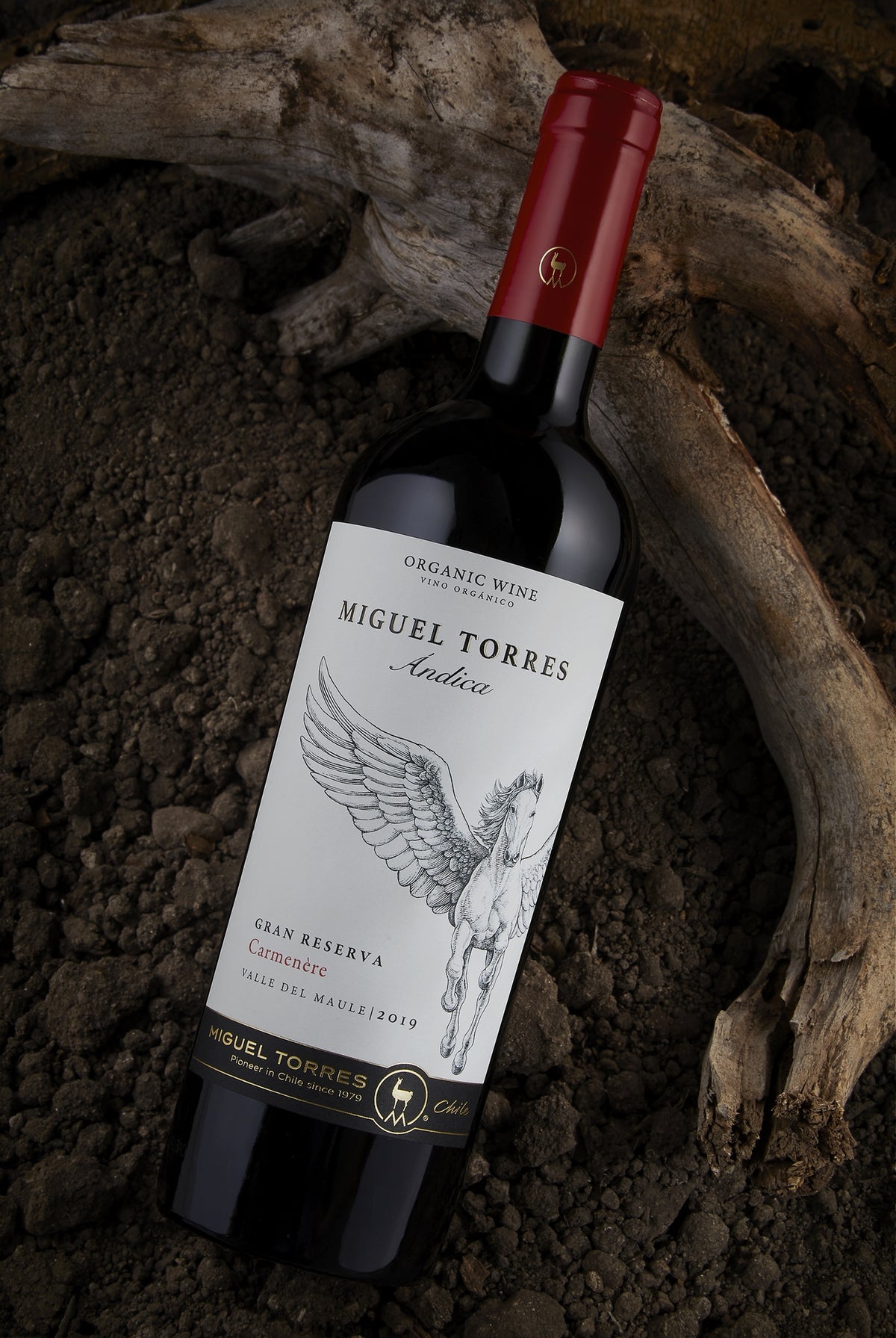 Miguel Torres, Andica Carmenere Gran Reserva Bio Miguel Torres, Andica Carmenere Gran Reserva Bio