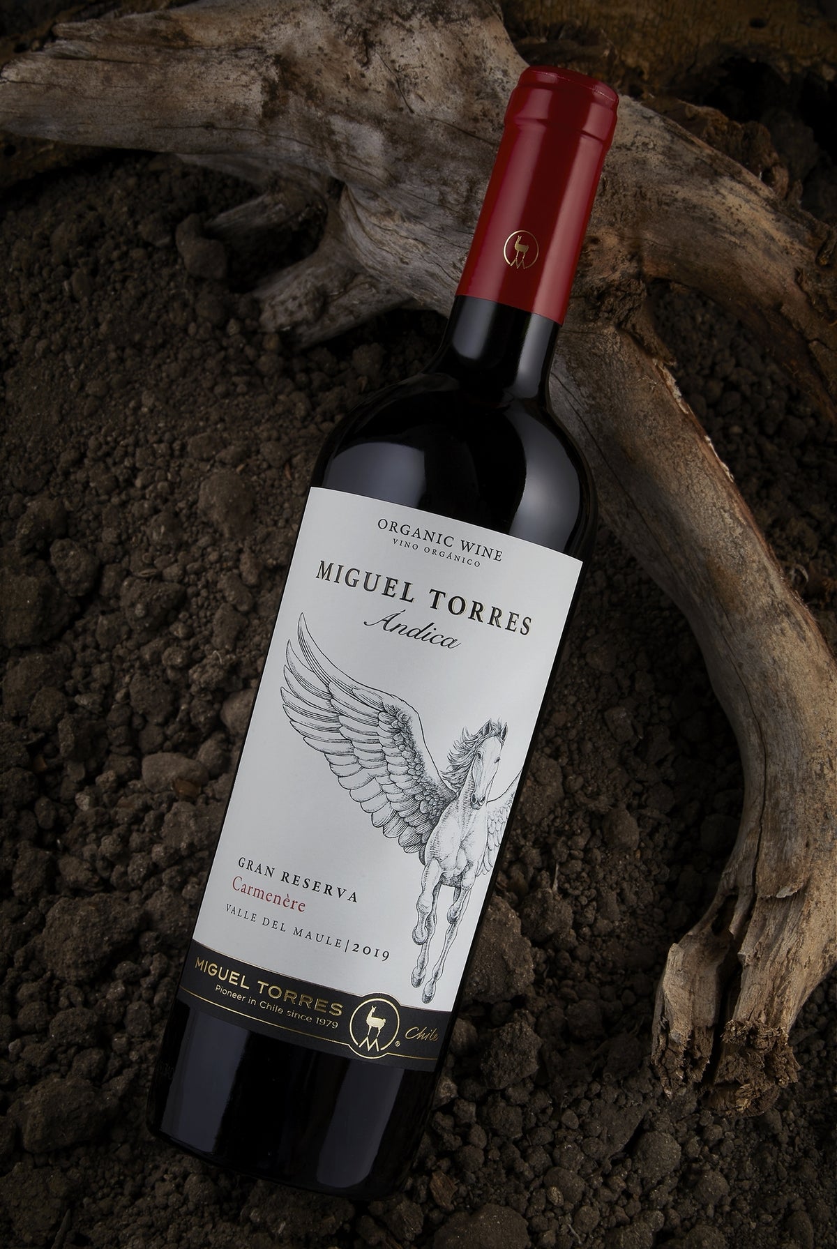 Miguel Torres, Andica Carmenere Gran Reserva Bio Miguel Torres, Andica Carmenere Gran Reserva Bio