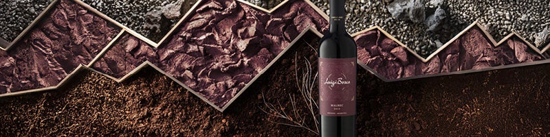 Alles over malbec wijn
