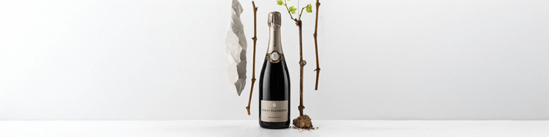 Magnum fles wijn