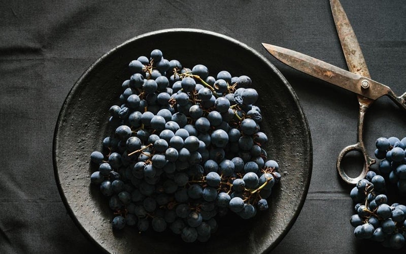 Rode wijndruiven voor Zinfandel-wijn
